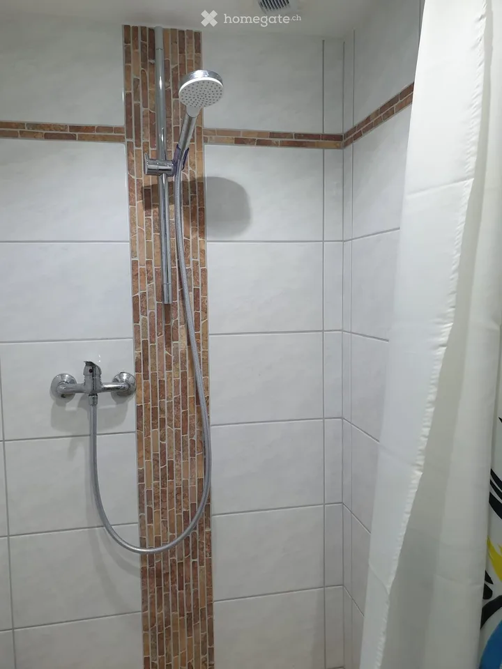 1,5 Zimmer Wohnung – Foto 3 von 5