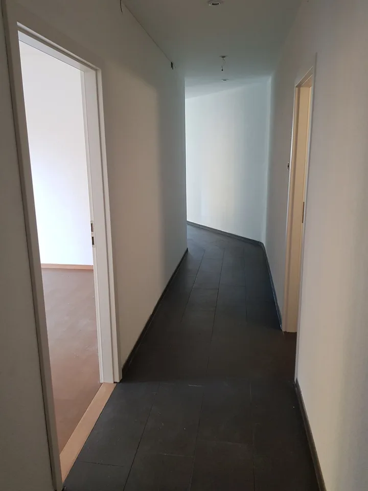 4-Bedroom Apartment on Spalenring in Basel – photo 7 of 11