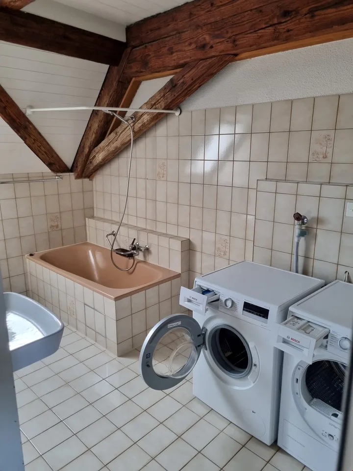 Apartment in the center of Aesch – photo 9 of 9
