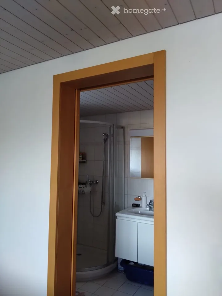 4.5 Zimmer-Wohnung in Zweifamilienhaus – Foto 4 von 5