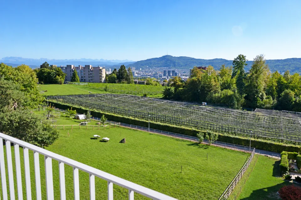 Exklusive 5.5-Zimmer-Attikawohnung am Hönggerberg mit Panoramablick – Foto 4 von 23