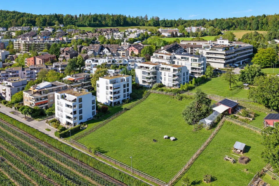 Exklusive 5.5-Zimmer-Attikawohnung am Hönggerberg mit Panoramablick – Foto 2 von 23