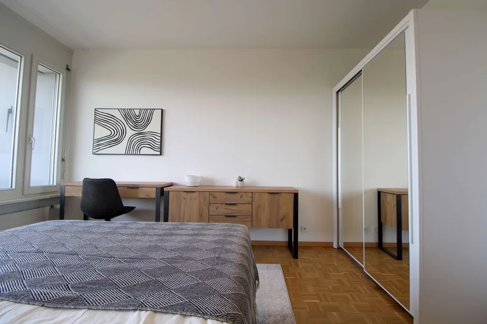 Spacious Coliving with International Connections in Le Grand-Saconnex – Foto 3 von 22