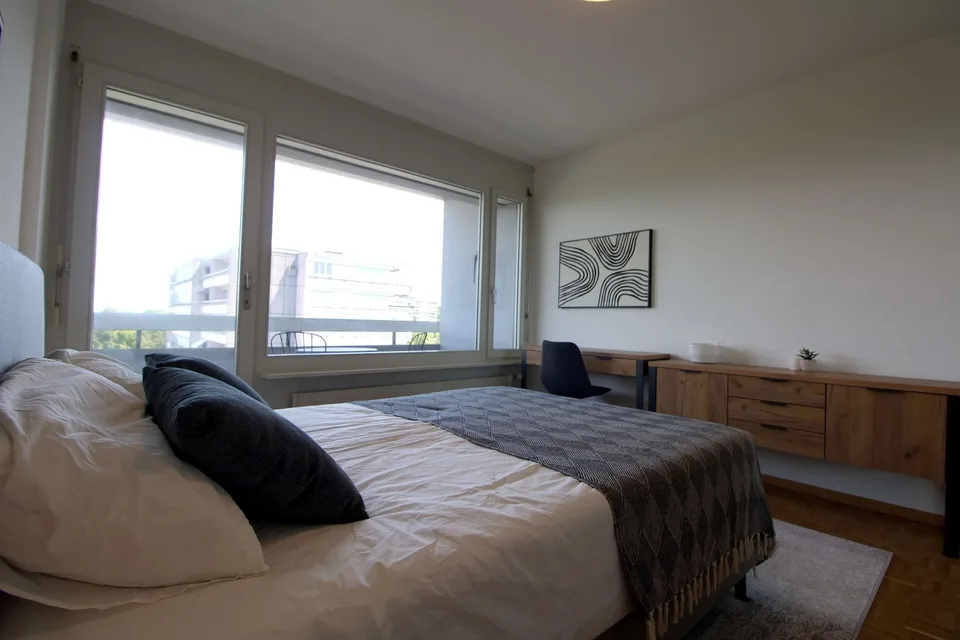 Spacious Coliving with International Connections in Le Grand-Saconnex – Foto 7 von 22