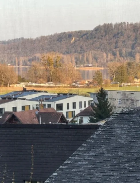 Habiter où les autres font des vacances - Votre maison unifamiliale sur le Rebberg à Erlach – photo 16 sur 16