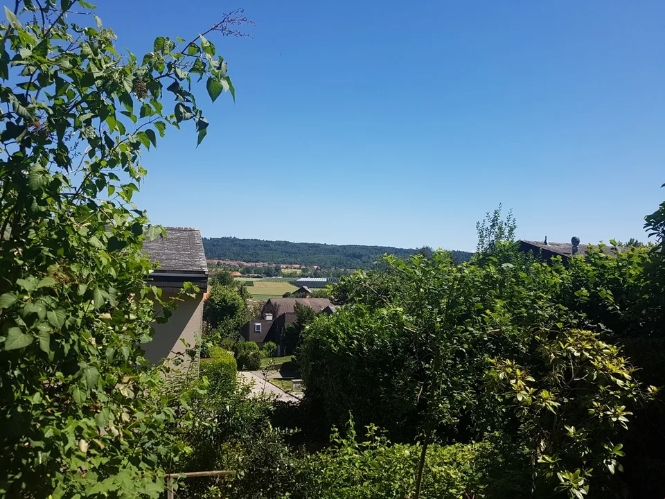 Habiter où les autres font des vacances - Votre maison unifamiliale sur le Rebberg à Erlach – photo 6 sur 16