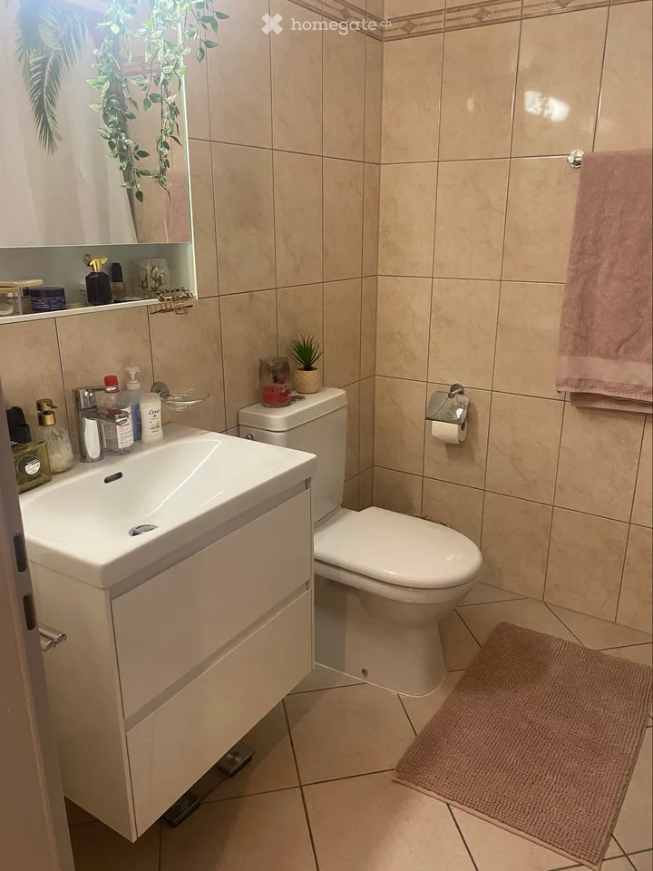 Appartement zur Miete in Breganzona – Foto 4 von 5