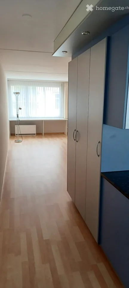 Zentrale und ruhige 1.5 Zimmer Wohnung in der Neustadt – Foto 4 von 4