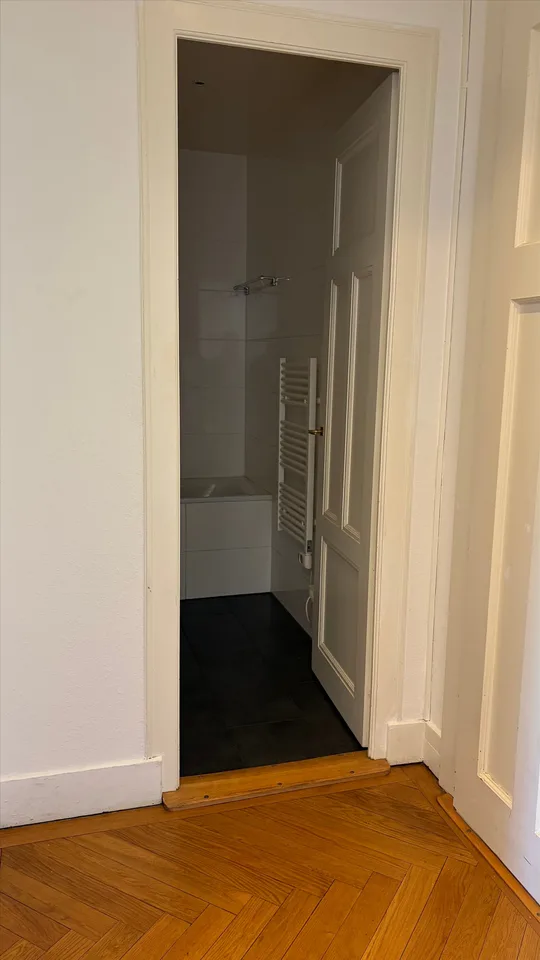 Apartment in the heart of the Servette neighborhood – photo 5 of 8