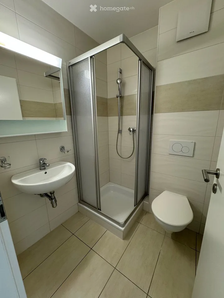Zu vermieten: Schönes 4.5-Zimmer-Apartment in Vallorbe – Foto 9 von 11