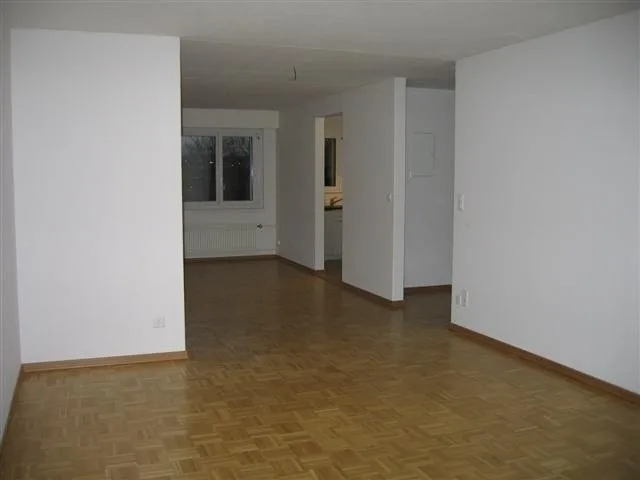 Appartement magnifique recherche nouveau locataire – photo 2 sur 4