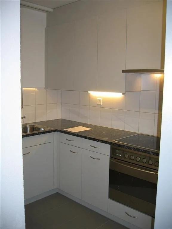 Appartement magnifique recherche nouveau locataire – photo 3 sur 4