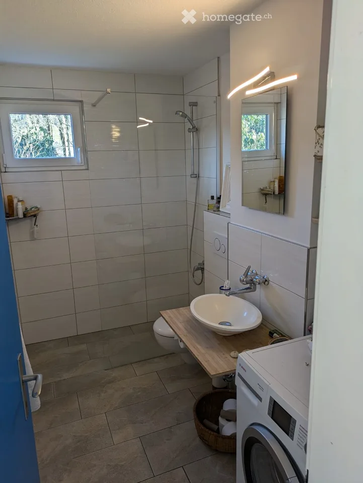 Furnished 2.5-Room Apartment in Urdorf – Renovated & Move-In Ready – photo 3 of 13