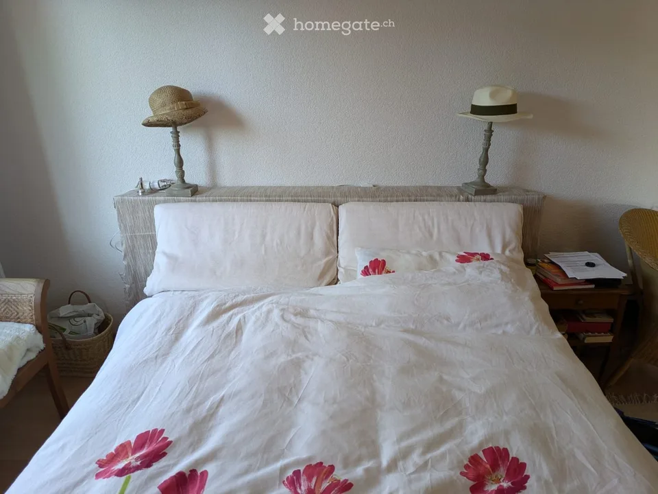 Furnished 2.5-Room Apartment in Urdorf – Renovated & Move-In Ready – photo 4 of 13