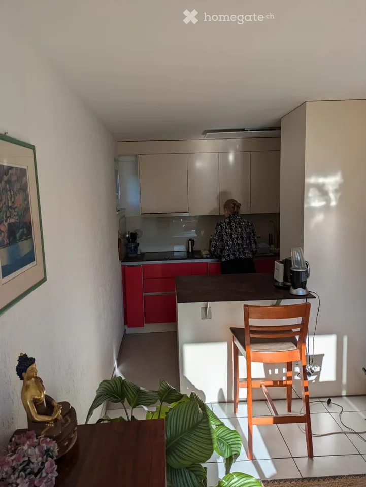 Furnished 2.5-Room Apartment in Urdorf – Renovated & Move-In Ready – photo 2 of 13