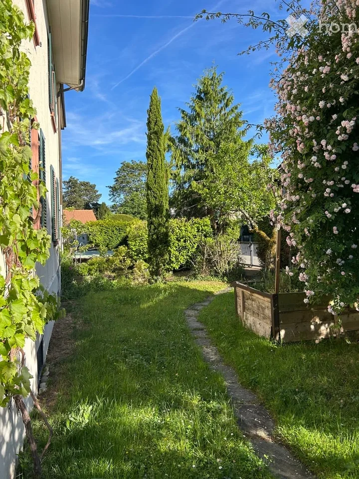 Grosse 4.5-Zimmer-Wohnung mit schönem Garten und Swimming-Pool – Foto 11 von 14