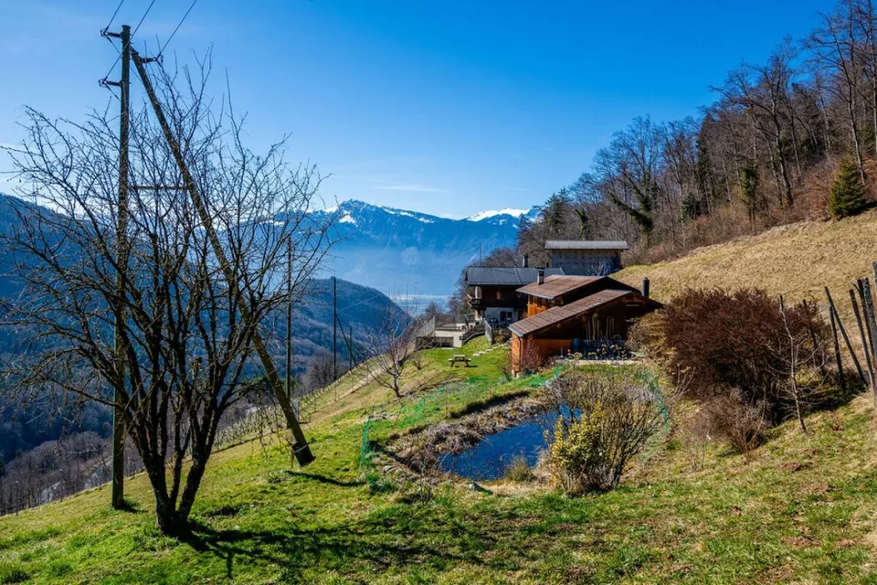 Private Estate in the Heart of Nature with business opportunity – photo 3 of 9