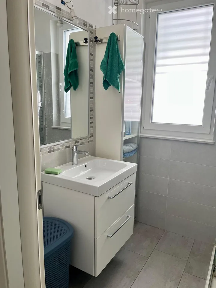 Lugano im Grünen in der Nähe von Schulen, See und Bus 2 1/2 Garten – Foto 4 von 5