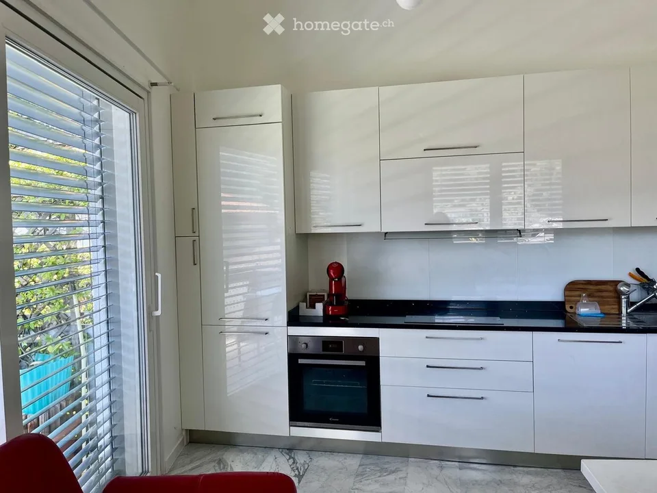 Lugano im Grünen in der Nähe von Schulen, See und Bus 2 1/2 Garten – Foto 2 von 5