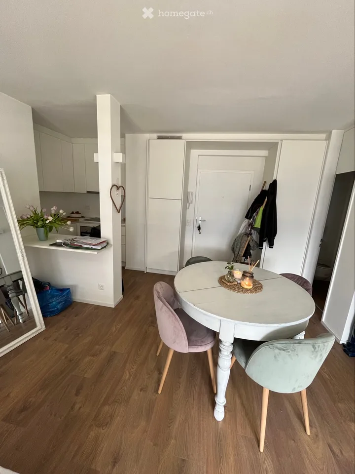 Helles Einzimmerapartment in Giubiasco mit Subentante – Foto 3 von 5