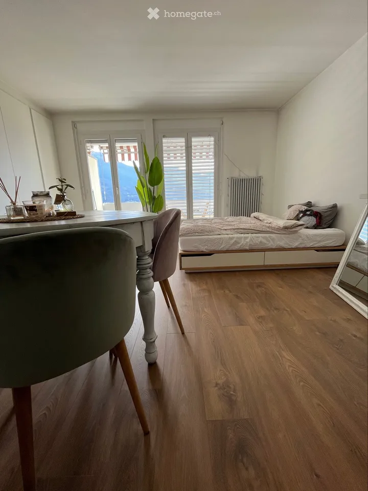 Helles Einzimmerapartment in Giubiasco mit Subentante – Foto 2 von 5