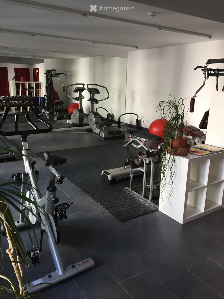 Paradies - 2,5 Zimmer mit Seeblick und Blick auf den Luganer Golf – Foto 8 von 9