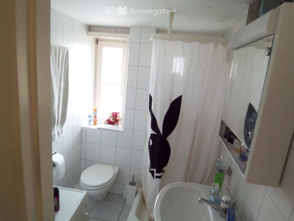 Heimelige 3.5 Zimmerwohnung im steuergünstigen Pfeffingen – Foto 5 von 5