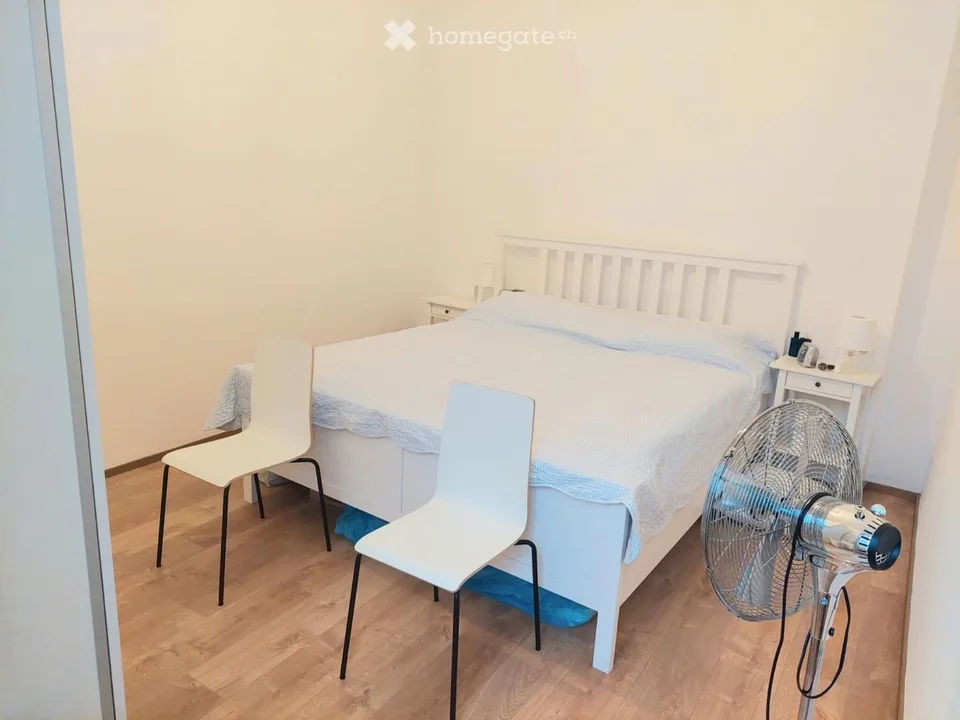 Subentante, 2,5 Lokale RENOVIERTE, 10 Minuten vom Zentrum – Foto 4 von 5