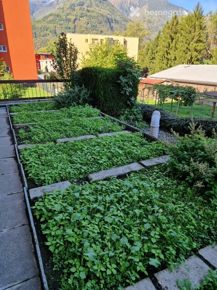 Appartement zur Miete ab 1. November 2026 oder zu vereinbaren – Foto 5 von 5
