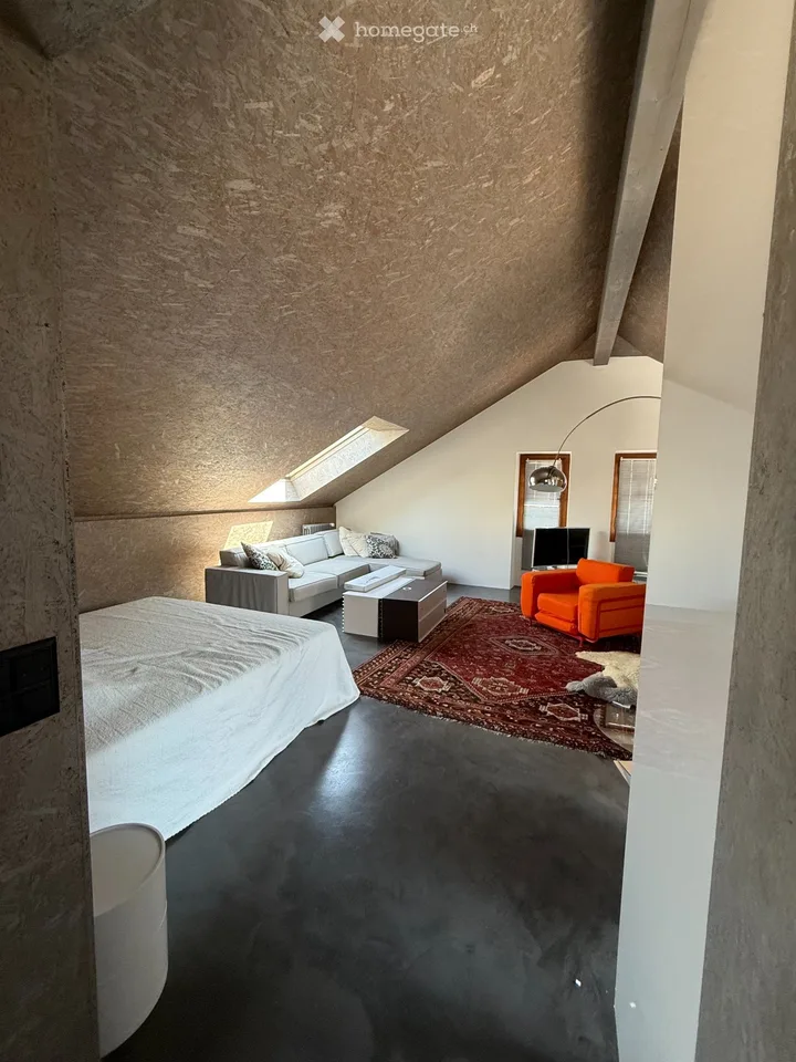 Prächtiges möbliertes Loft in Chavannes-près-Renens – Foto 5 von 5