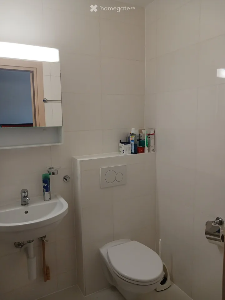 Schönes Studio-Apartment in der Nähe der Uni zu renovieren – Foto 4 von 5