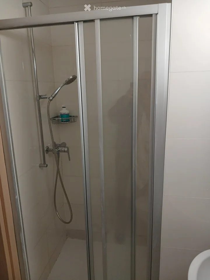 Schönes Studio-Apartment in der Nähe der Uni zu renovieren – Foto 5 von 5