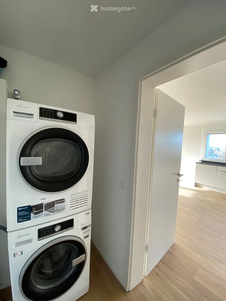 Moderner meublé : 3,5 pièces à Steinhausen ZG, disponible immédiatement, animaux de compagnie autorisés – photo 5 sur 5