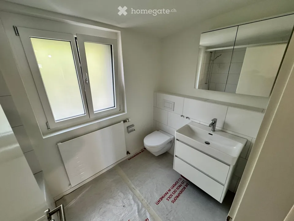 Erstvermietung nach umfassender Sanierung - Reiheneinfamilienhaus in Reinach BL – Foto 5 von 7