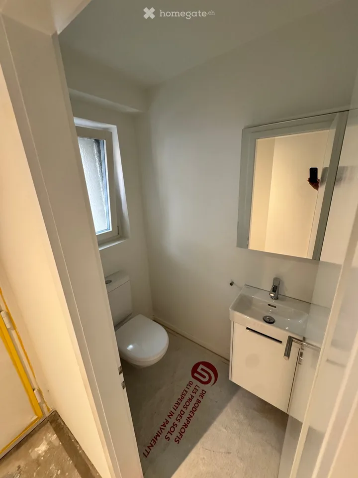 Erstvermietung nach umfassender Sanierung - Reiheneinfamilienhaus in Reinach BL – Foto 6 von 7