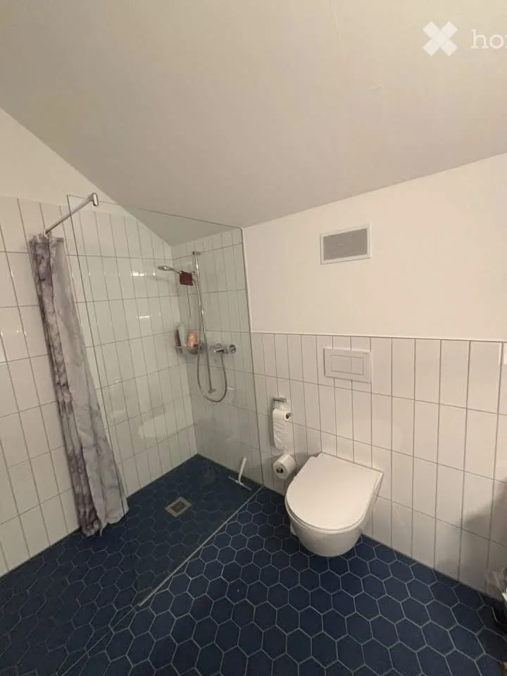 Appartement 2 pièces à Mettmenstetten – photo 3 sur 5