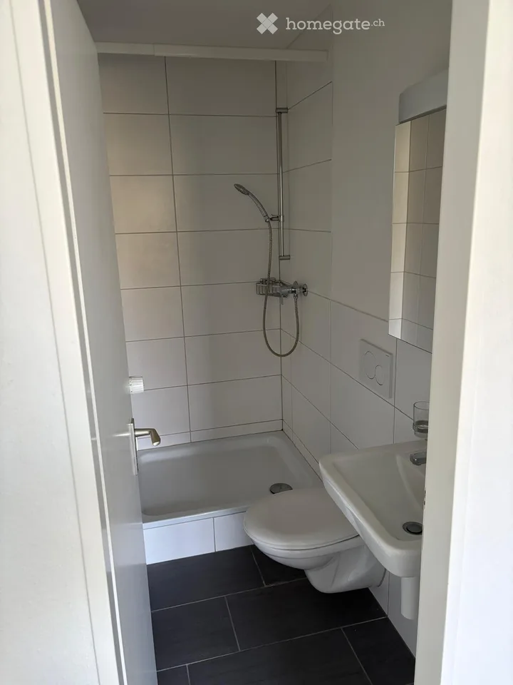 1.5 Zimmerwohnung in Allschwil – Foto 3 von 5
