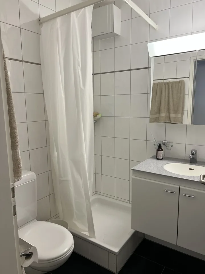 Geräumige 4.5-Zimmer-Wohnung mit privatem Ausgang zum Garten in Zollikerberg – Foto 8 von 13