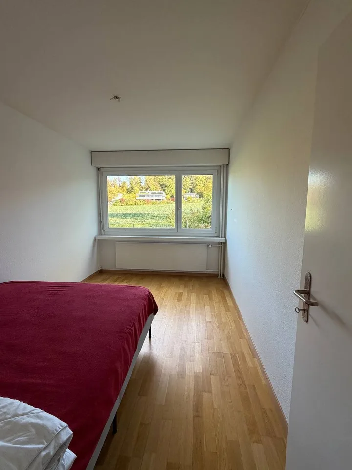 Geräumige 4.5-Zimmer-Wohnung mit privatem Ausgang zum Garten in Zollikerberg – Foto 2 von 13