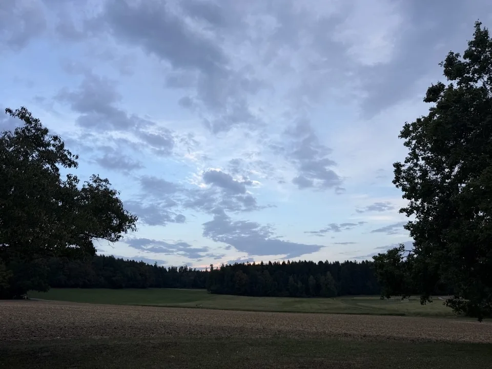 Geräumige 4.5-Zimmer-Wohnung mit privatem Ausgang zum Garten in Zollikerberg – Foto 13 von 13