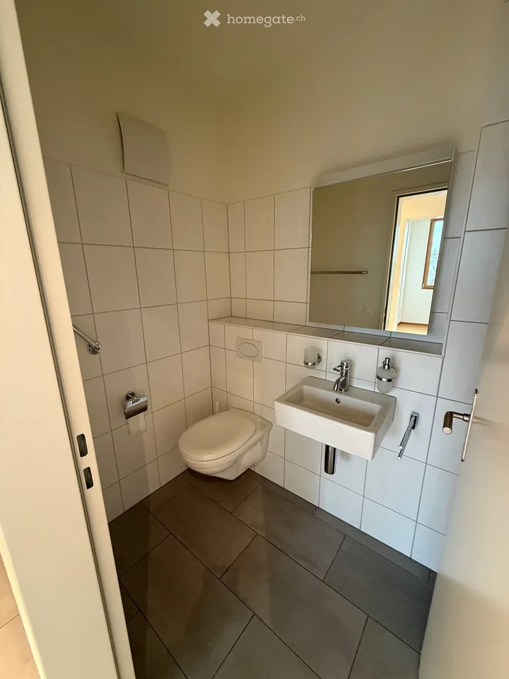 Hochwertig ausgebaute 3.5-Zimmer-Dachwohnung mit Hobbyraum in Muttenz – Foto 8 von 13
