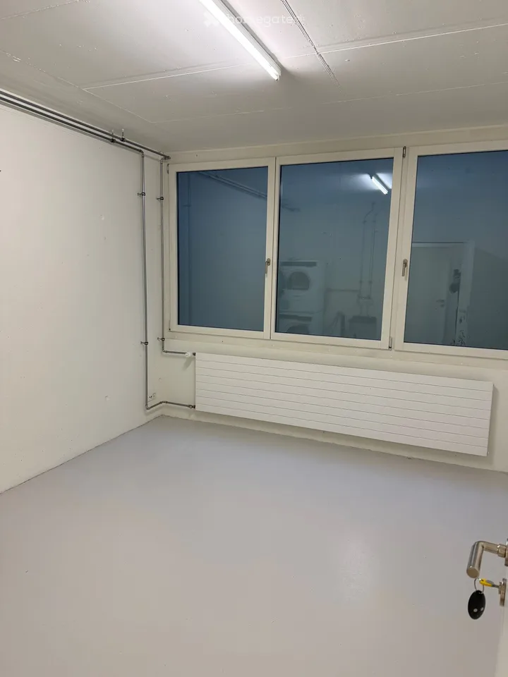 Hochwertig ausgebaute 3.5-Zimmer-Dachwohnung mit Hobbyraum in Muttenz – Foto 10 von 13