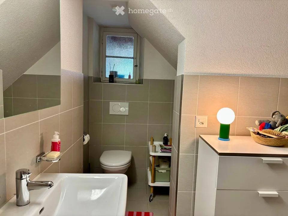 Einfamilienhaus in Muttenz – Foto 19 von 20