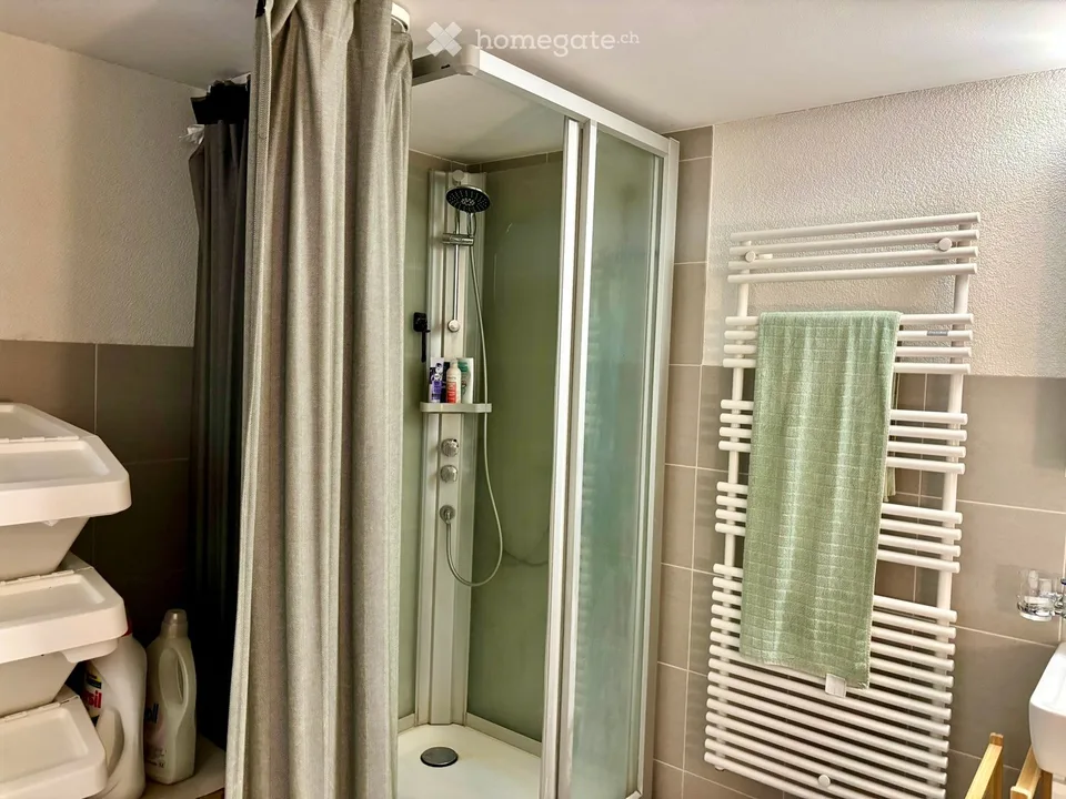 Einfamilienhaus in Muttenz – Foto 20 von 20