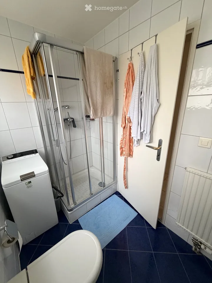 Charmante Garten-Wohnung an ruhiger Lage in Meggen – Foto 6 von 9