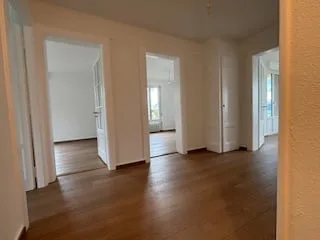 Prächtiges 3.5-Zimmer-Appartement (ein Schlafzimmer) komplett renoviert - Exklusive und privilegierte Lage – Foto 6 von 7