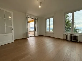 Prächtiges 3.5-Zimmer-Appartement (ein Schlafzimmer) komplett renoviert - Exklusive und privilegierte Lage – Foto 3 von 7
