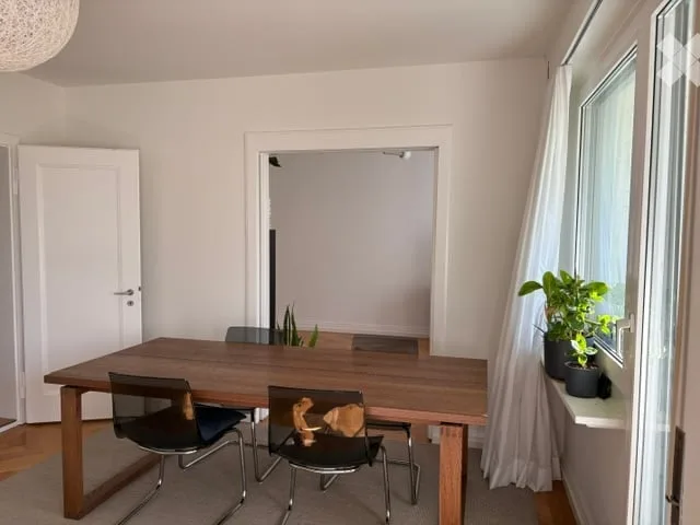 Nachmieter für Wohnung in Zollikon gesucht – Foto 3 von 14