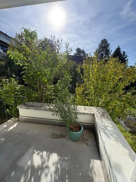 Nachmieter für Wohnung in Zollikon gesucht – Foto 5 von 14