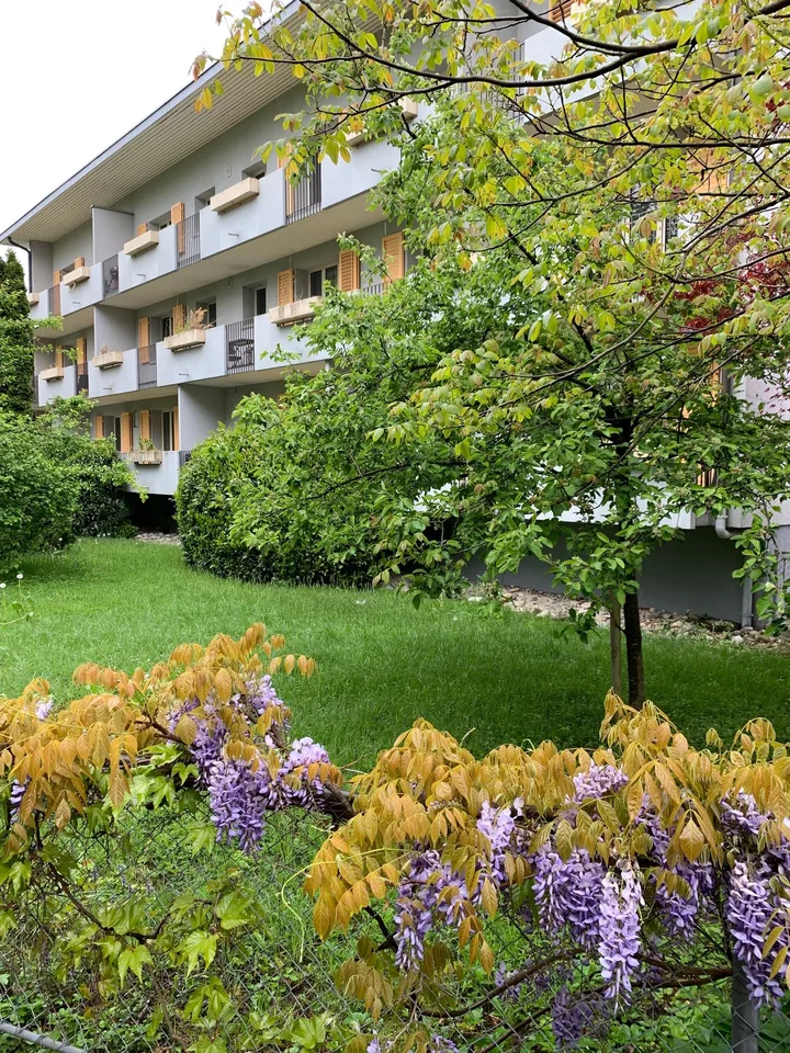 Ab 1.2./1.3. - Schöne 2.5 Zi Wohnung mit Balkon, grosse Einzelgarage – Foto 9 von 21